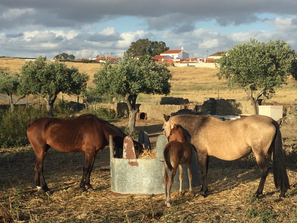 Abetarda Cc Villa São Marcos da Ataboeira Exteriör bild
